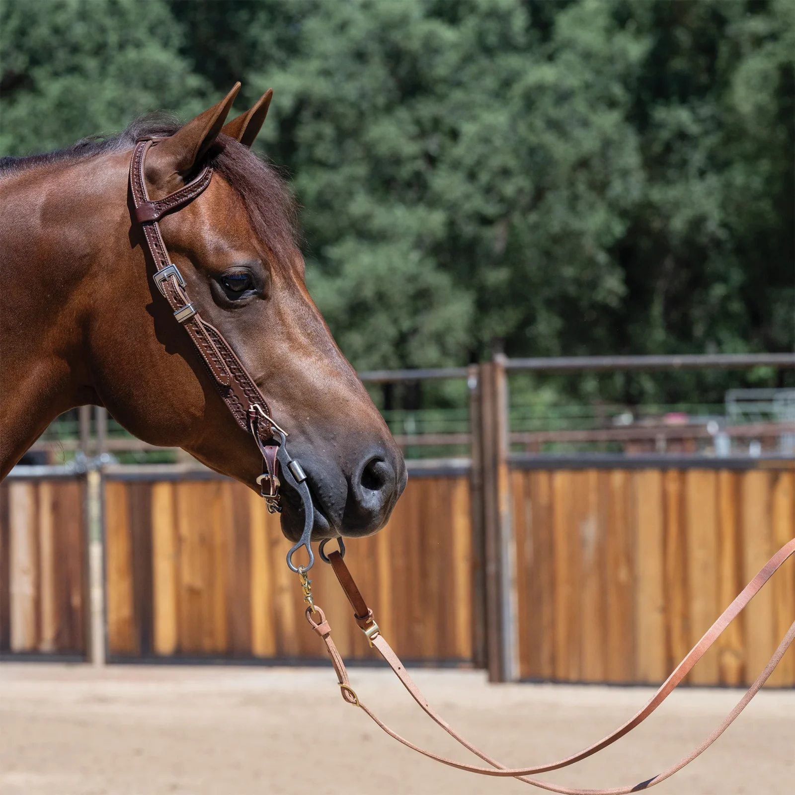 Horizons Roper Reins, 5/8"x 8 - Image 2